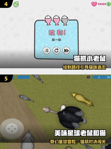 🔥2025最火猫鼠游戏TOP5出炉！🐭🐱截图3