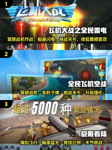 ✈2025必玩的经典飞机游戏合集🔥截图2