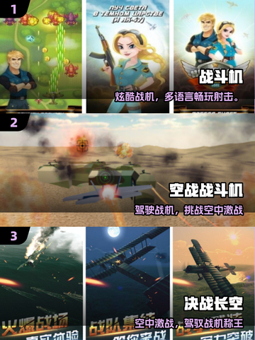 🔥2025最火战斗机手游TOP榜✈截图2