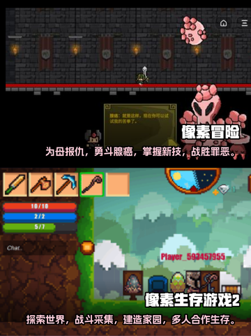 2022超🔥联机像素游戏推荐🎮截图3