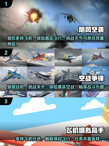 🔥2025必玩！人气飞行模拟手游合集✈截图2