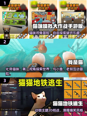 🐾2025超火猫咪游戏合集！治愈解压必备🎮截图2