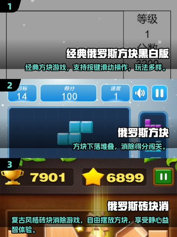 2025爆款俄罗斯方块小游戏🔥高人气方块游戏推荐🎮截图2