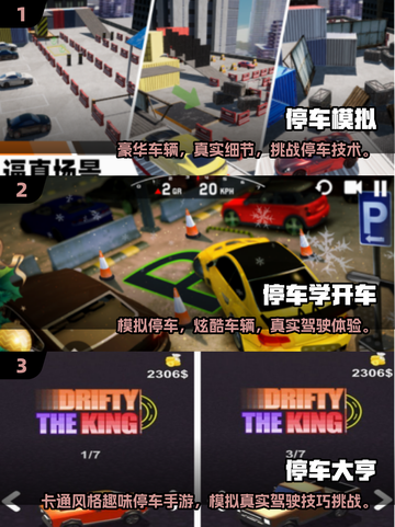 🚗🔥2025超耐玩停车手游大揭秘！截图2