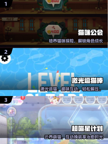 🐱2025超火免费逗猫游戏大揭秘！截图2