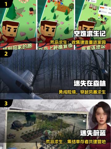 ✈坠机后我能活几天？🔥截图2