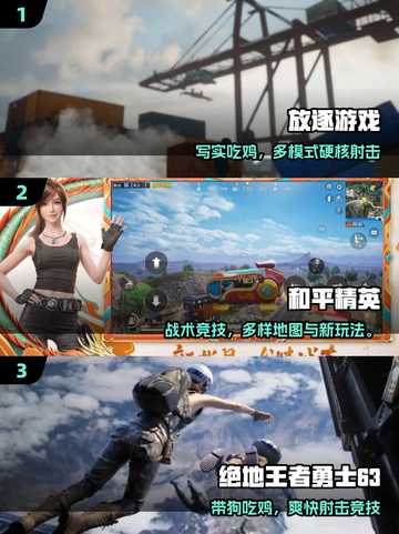 🔥2025吃鸡神作TOP5曝光！🎮截图2