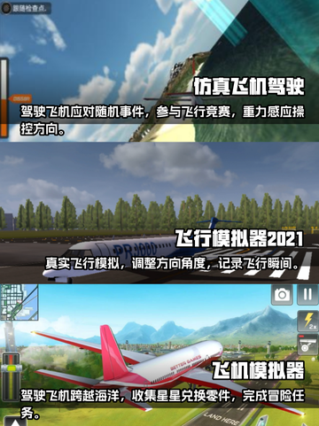 2024必玩✈顶级飞行模拟游戏排行榜🔥截图2