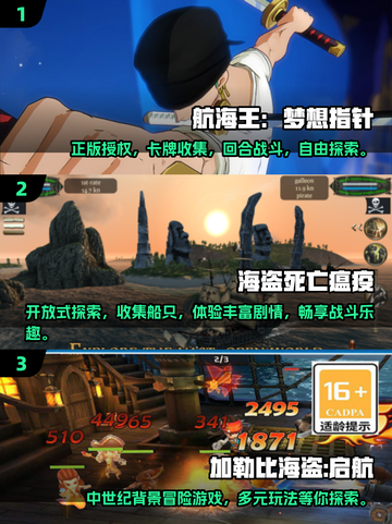 🔥2024必玩海盗游戏合集📦海上冒险等你来战！截图2