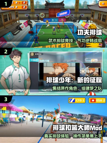 🏐2025必玩排球神作TOP5🔥截图2