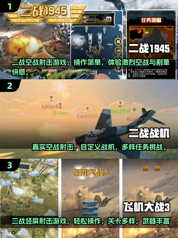 🔥2025二战空战游戏TOP榜来了！✈截图2