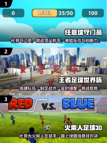 🔥2025最受欢迎单机足球游戏合集🎉⚽截图2