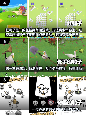 🔥抓鸭子游戏合集2025新鲜出炉！🦆✨截图3