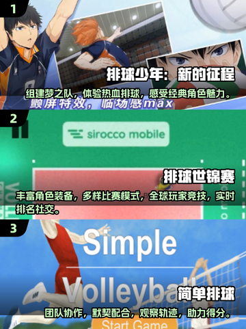 🪆2025超燃排球手游推荐，玩到停不下来！🔥截图2