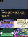 🔥2025最火分屏双人游戏💥
