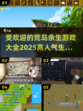🔥2025最受欢迎荒岛求生游戏合集🎉