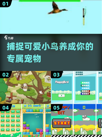 2025超火bird游戏🔥抓鸟养鸟自由飞 soar玩法等你来探索！截图1