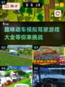 🔥2024必玩动车模拟驾驶游戏合集🎮