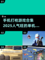 🔥2025最🔥单机打枪游戏合集🔫玩家必备！