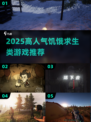 🔥2025高人气生存游戏大揭秘！💥