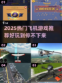 2025超好玩飞机游戏推荐🎮飞行冒险嗨翻天！
