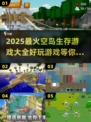 🔥2025必玩空岛生存游戏合集💥超好玩等你来战！