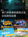 🔥2024必玩热门手机单机游戏合集🎮