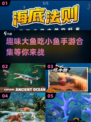 🐟趣味大鱼吃小鱼手游合集，高人气游戏等你来玩！