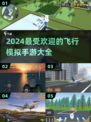 2024最🔥模拟飞行手游排行榜✈玩家必看