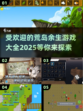 🔥2025最受欢迎荒岛生存游戏合集🎉