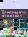 🔥2025年必玩国产单机游戏免费下载推荐🎉