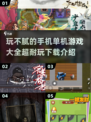 玩不腻的单机游戏🔥2025超耐玩手机游戏推荐🎉