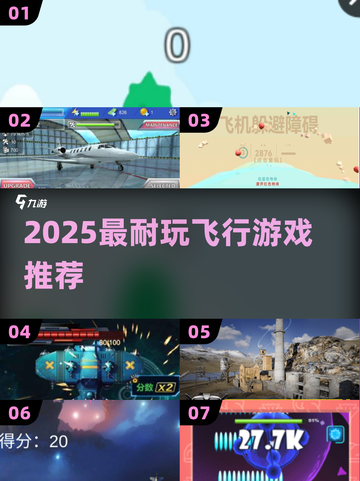 ✈2025最耐玩飞行游戏TOP榜🔥截图1