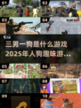 🔥2025最受欢迎的人狗游戏大揭秘！🐶三男一狗趣味排行