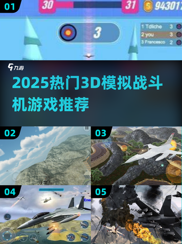 2025🔥超燃3D战斗机游戏TOP榜✈🎮截图1