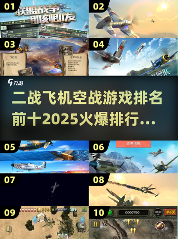 🔥2025必玩！TOP10二战飞机空战游戏排名💥截图1