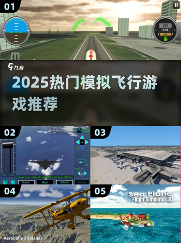 ✈2025最火飞行模拟TOP榜🔥截图1