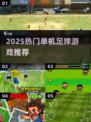 🎮2025最火单机足球游戏大揭秘！🔥