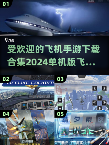 🔥2024最受欢迎飞机手游合集🎉单机版大全来啦！✈截图1