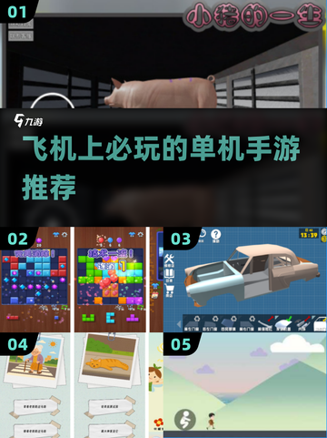 ✈飞机上必玩手游TOP5🔥截图1