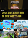 2025必玩！单人网游TOP榜💥🎮