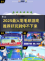🔥2025最火羽毛球游戏推荐！✨