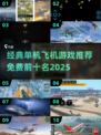 🔥经典单机飞机游戏Top10💥免费畅玩2025推荐！🎮