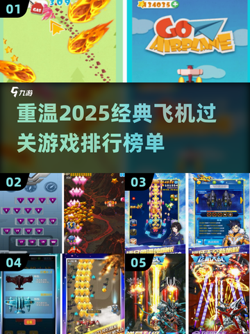 2025必玩✈经典飞机过关游戏排行截图1