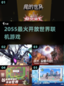 🔥2055爆火开放世界游戏推荐💥