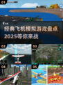 ✈2025必玩！经典飞机模拟游戏下载大全