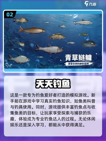 🎣2024必玩钓鱼手游合集🐟截图3
