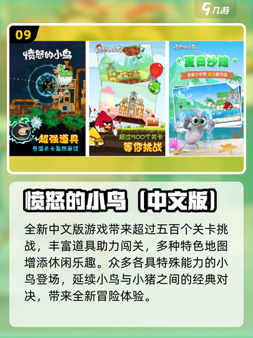 💥2025最火愤怒的小鸟游戏榜单！🔥截图10