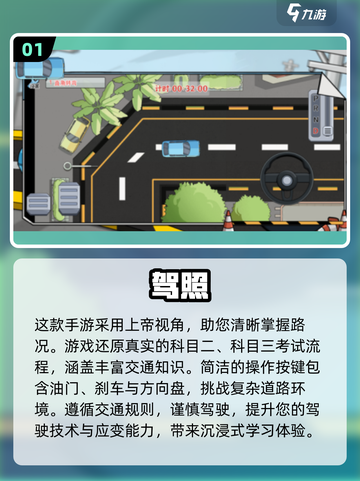 🔥2025最受欢迎免费驾考游戏合集✨截图2