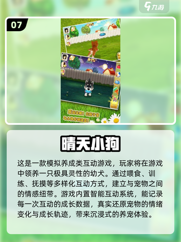 🐾狗狗超爱玩的100种游戏大公开！🔥截图8